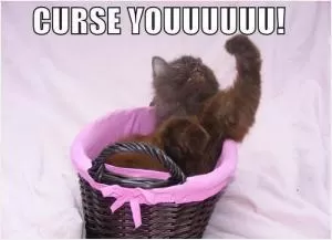 Curse youuuuuu! Picture Quote #1
