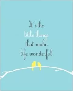 It's the little things that make life wonderful Picture Quote #1