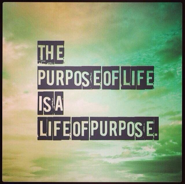 The purpose of life, is a life of purpose Picture Quote #1