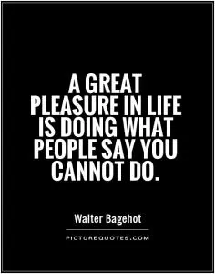 A great pleasure in life is doing what people say you cannot do Picture Quote #1