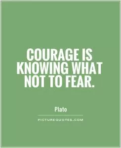 Courage is knowing what not to fear Picture Quote #1