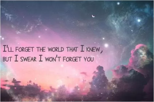 I'll forget the world that I knew, but I swear I won't forget you Picture Quote #1