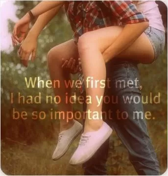 When we first met, i had no idea you would be so important to me Picture Quote #1