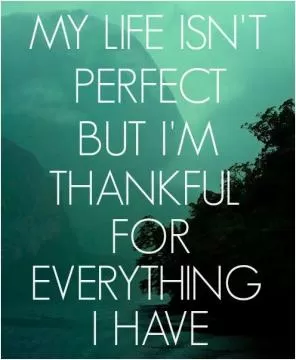 My life isn't perfect but i'm thankful for what i have Picture Quote #1