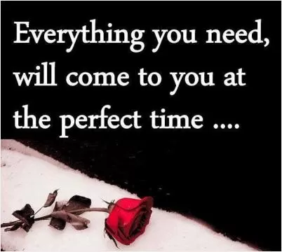 Everything you need will come to you at the perfect time Picture Quote #1