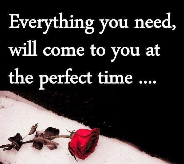 Everything you need will come to you at the perfect time Picture Quote #1
