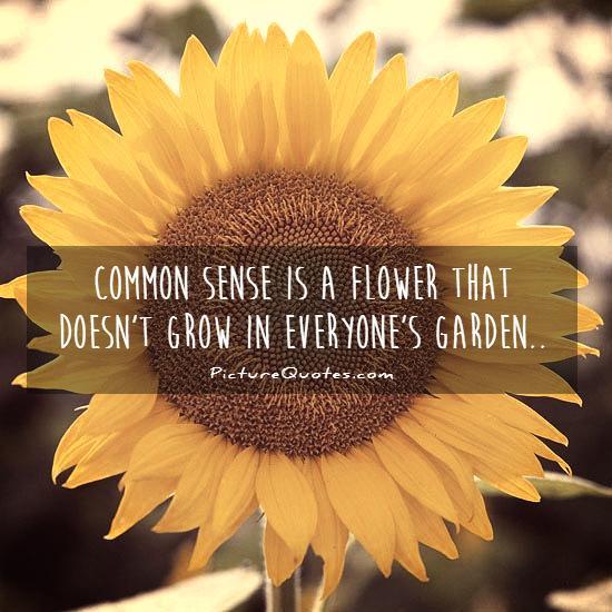 Common sense is a flower that doesn't grow in everyone's garden Picture Quote #1