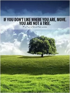 If you don't like where you are, move. You are not a tree Picture Quote #1