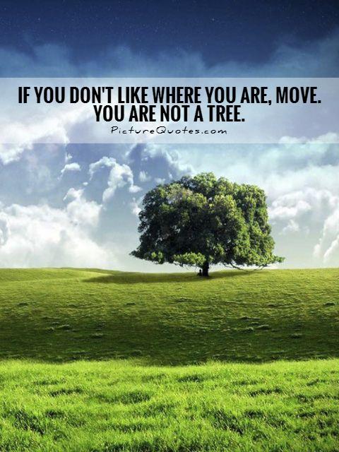 If you don't like where you are, move. You are not a tree Picture Quote #1