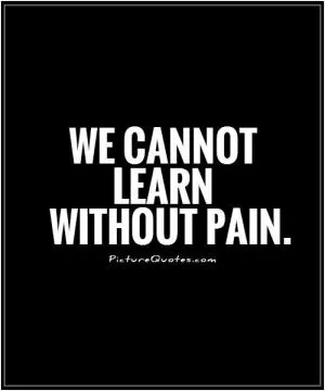 We cannot learn without pain Picture Quote #1
