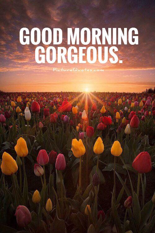 Good morning gorgeous Picture Quote #1