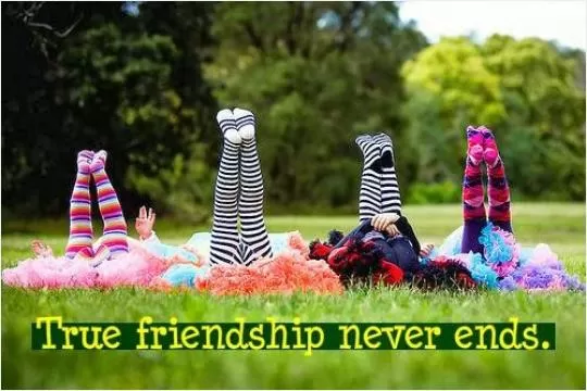 True friendship never ends Picture Quote #1