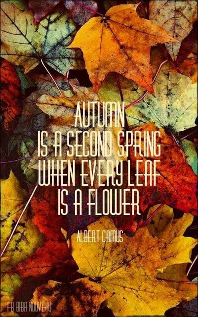 Autumn is a second spring when every leaf is a flower | Picture Quotes