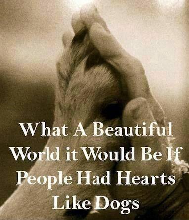 What a beautiful world it would be if people had hearts like dogs Picture Quote #1