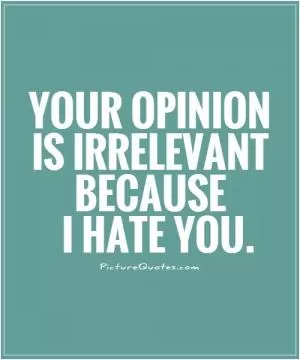 Your opinion is irrelevant because I hate you Picture Quote #1
