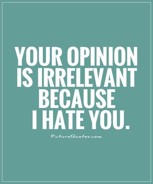 Your opinion is irrelevant because I hate you Picture Quote #1