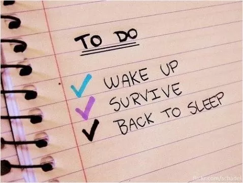 To do. Wake up. Survive. Go back to sleep Picture Quote #1