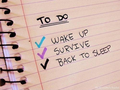 To do. Wake up. Survive. Go back to sleep Picture Quote #1