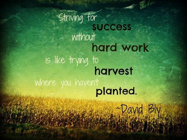 Striving for success without hard work is like trying to harvest where you haven't planted Picture Quote #1