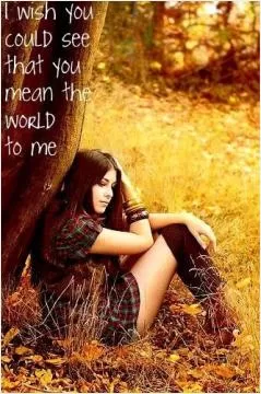 I wish you could see that you mean the world to me Picture Quote #1