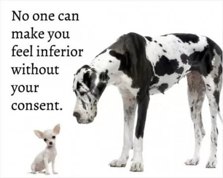 No one can make you feel inferior without your consent Picture Quote #1