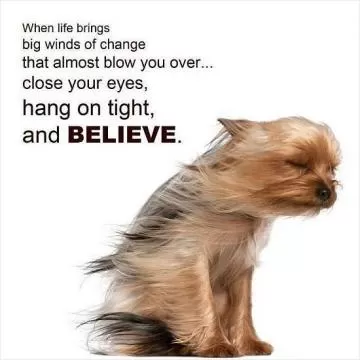 When life brings big winds of change that almost blow you over, close your eyes, hang on tight, and believe Picture Quote #1