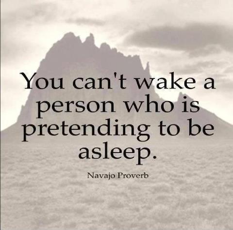 You can't wake a person who is pretending to be asleep Picture Quote #1