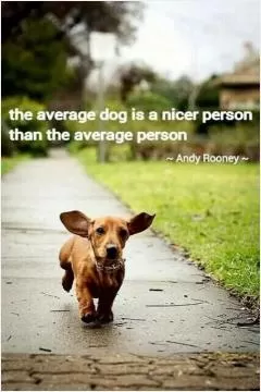 The average dog is a nicer person than the average person Picture Quote #1