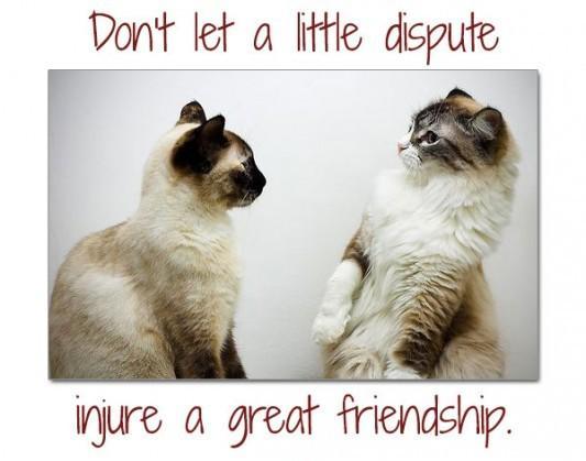 Don't let a little dispute injure a great friendship Picture Quote #1