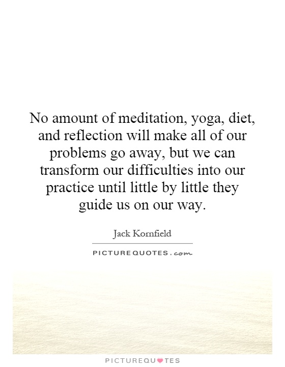 No amount of meditation, yoga, diet, and reflection will make all of our problems go away, but we can transform our difficulties into our practice until little by little they guide us on our way Picture Quote #1