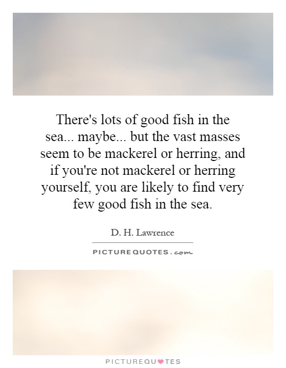 There's lots of good fish in the sea... maybe... but the vast masses seem to be mackerel or herring, and if you're not mackerel or herring yourself, you are likely to find very few good fish in the sea Picture Quote #1