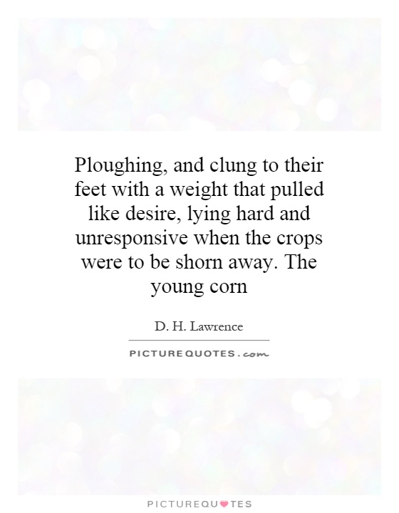 Ploughing, and clung to their feet with a weight that pulled like desire, lying hard and unresponsive when the crops were to be shorn away. The young corn Picture Quote #1