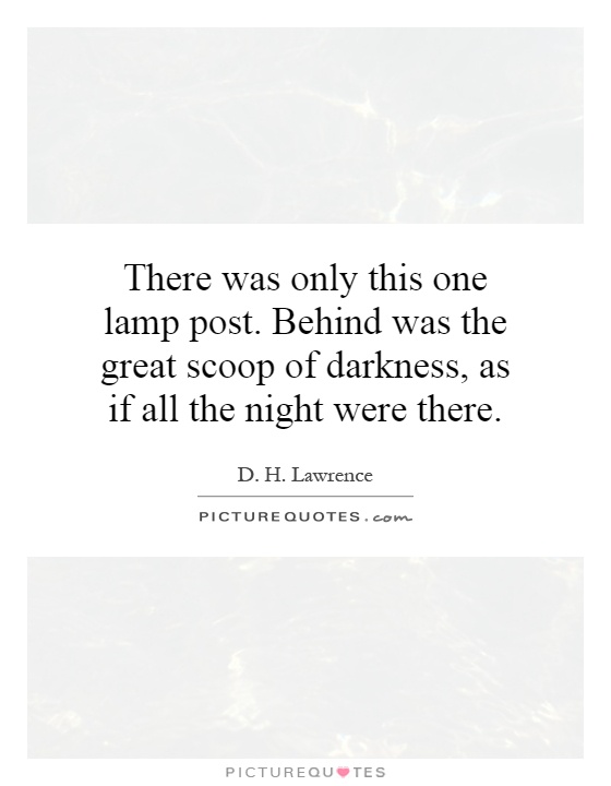 There was only this one lamp post. Behind was the great scoop of darkness, as if all the night were there Picture Quote #1