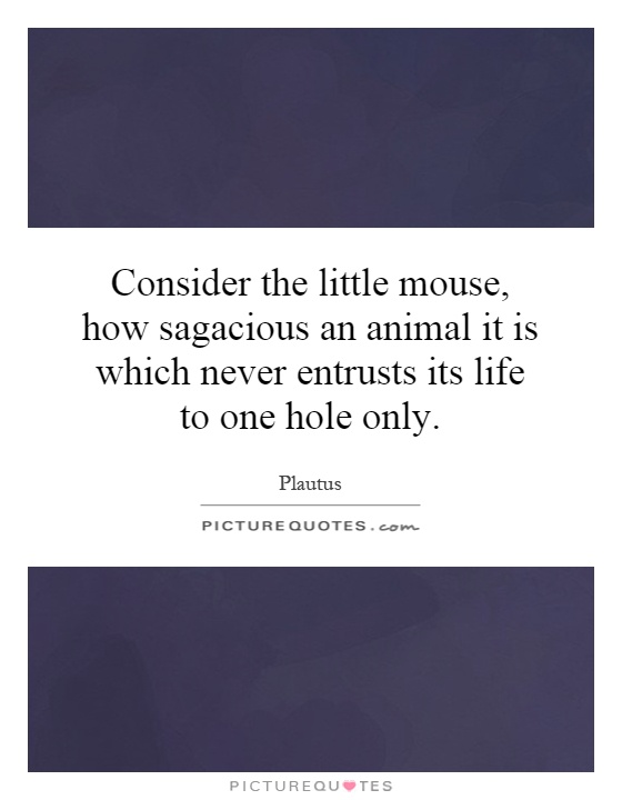 Consider the little mouse, how sagacious an animal it is which never entrusts its life to one hole only Picture Quote #1