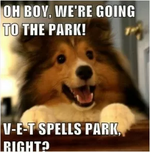 Oh boy! were going to the park! V-E-T spells park right? Picture Quote #1