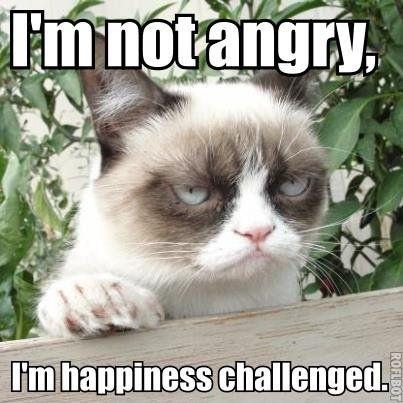 I'm not angry, I'm happiness challenged Picture Quote #1