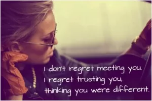 I don't regret meeting you. I regret trusting you, thinking you were different Picture Quote #1