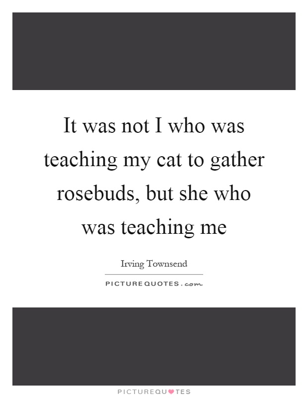 It was not I who was teaching my cat to gather rosebuds, but she who was teaching me Picture Quote #1