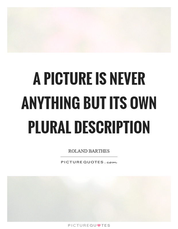 A picture is never anything but its own plural description Picture Quote #1