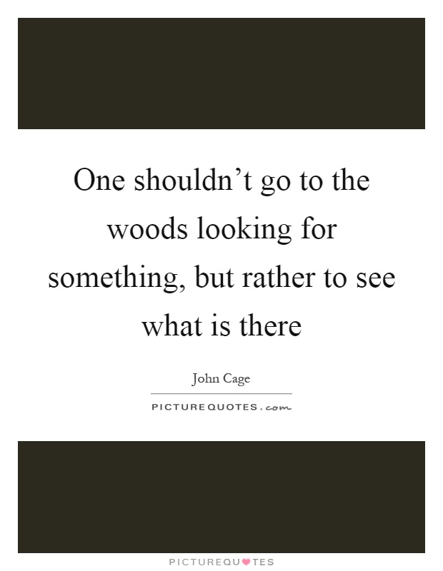 One shouldn't go to the woods looking for something, but rather to see what is there Picture Quote #1
