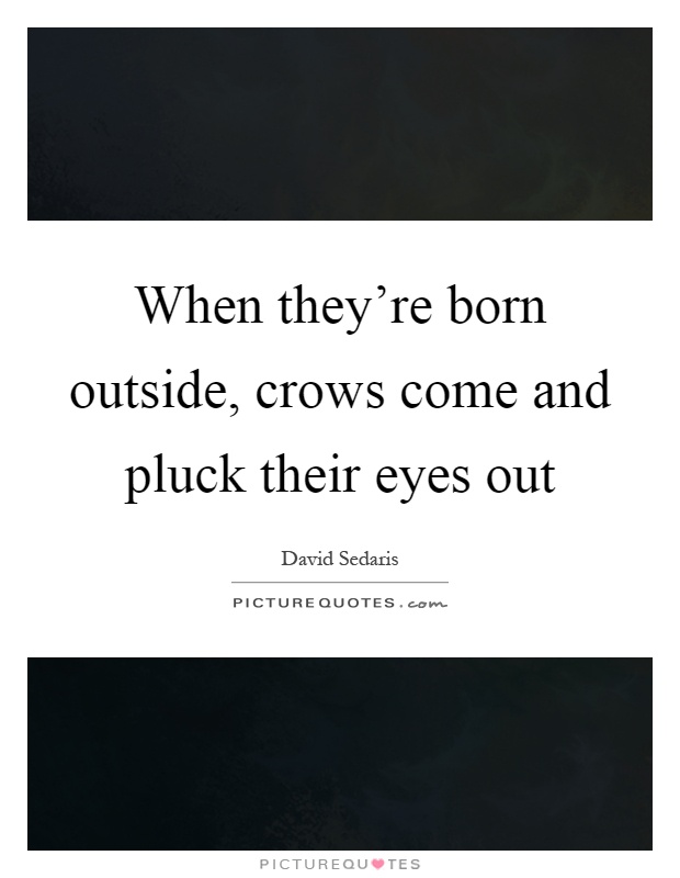 When they're born outside, crows come and pluck their eyes out Picture Quote #1
