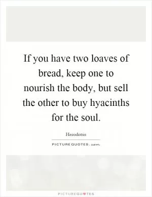 If you have two loaves of bread, keep one to nourish the body, but sell the other to buy hyacinths for the soul Picture Quote #1