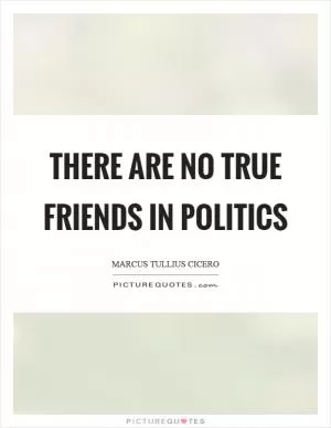 There are no true friends in politics Picture Quote #1