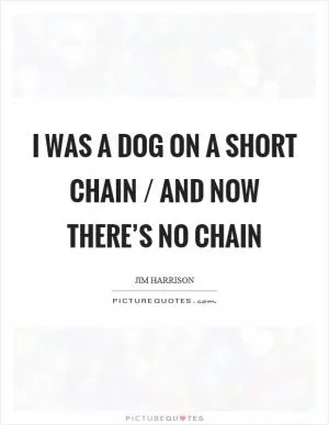 I was a dog on a short chain / and now there’s no chain Picture Quote #1