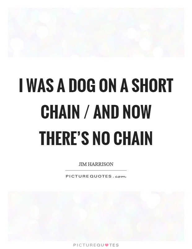 I was a dog on a short chain / and now there's no chain Picture Quote #1