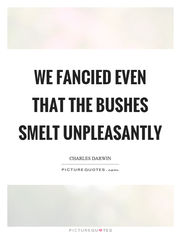 We fancied even that the bushes smelt unpleasantly Picture Quote #1