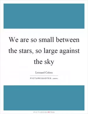 We are so small between the stars, so large against the sky Picture Quote #1