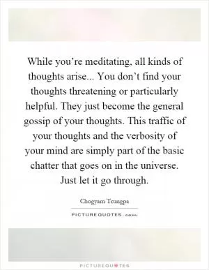 While you’re meditating, all kinds of thoughts arise... You don’t find your thoughts threatening or particularly helpful. They just become the general gossip of your thoughts. This traffic of your thoughts and the verbosity of your mind are simply part of the basic chatter that goes on in the universe. Just let it go through Picture Quote #1