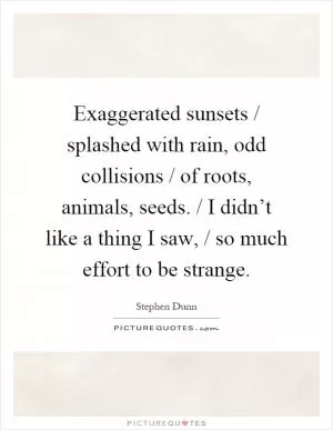 Exaggerated sunsets / splashed with rain, odd collisions / of roots, animals, seeds. / I didn’t like a thing I saw, / so much effort to be strange Picture Quote #1