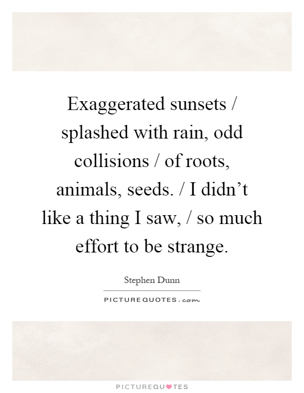 Exaggerated sunsets / splashed with rain, odd collisions / of roots, animals, seeds. / I didn't like a thing I saw, / so much effort to be strange Picture Quote #1